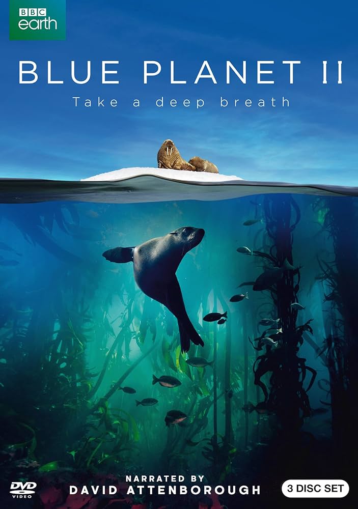 その他 Blue Planet [HD DVD] Amazon.com: Blue Planet II (DVD) : Various: Movies & TV